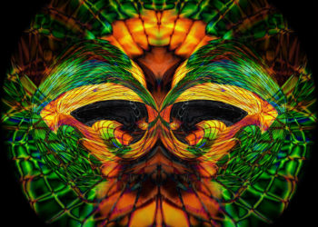 Fibonacci Turns Around