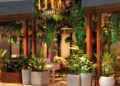 Rhumba into Kuba Cabana Social Club – Doral Dining Reminiscent of Havana’s Tropicana Club